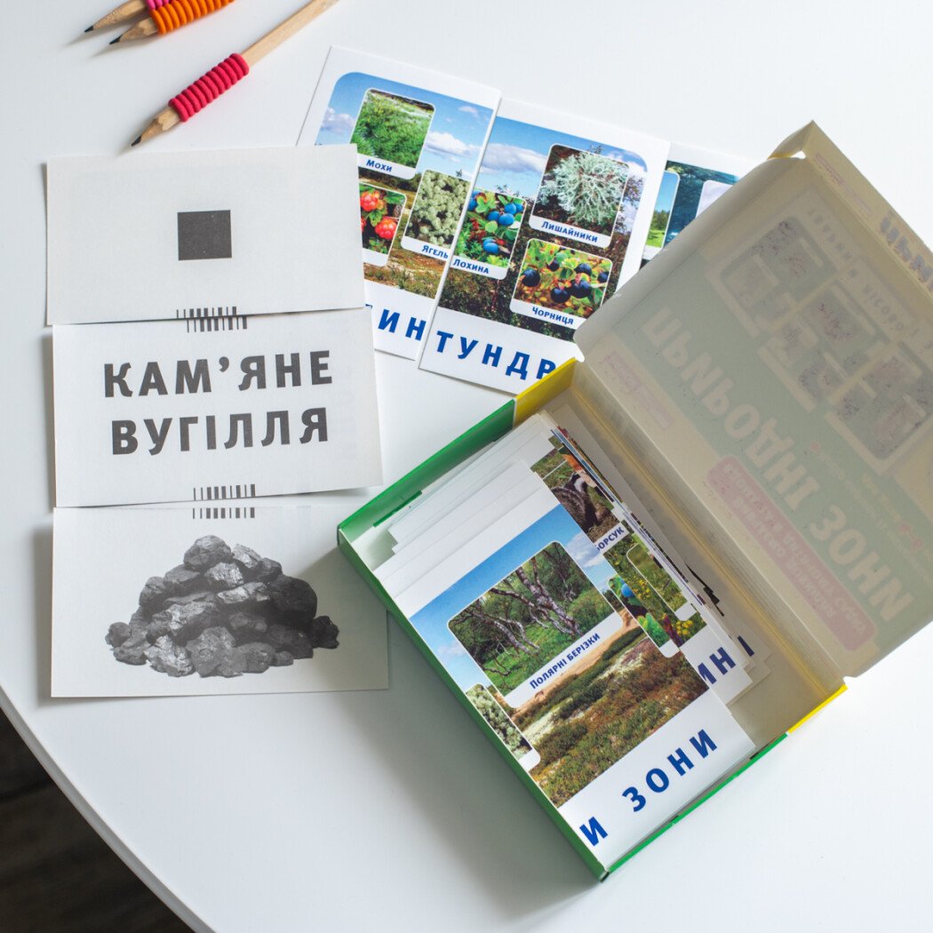 Навчальні картки «Природні зони» - фото Ранок Креатив