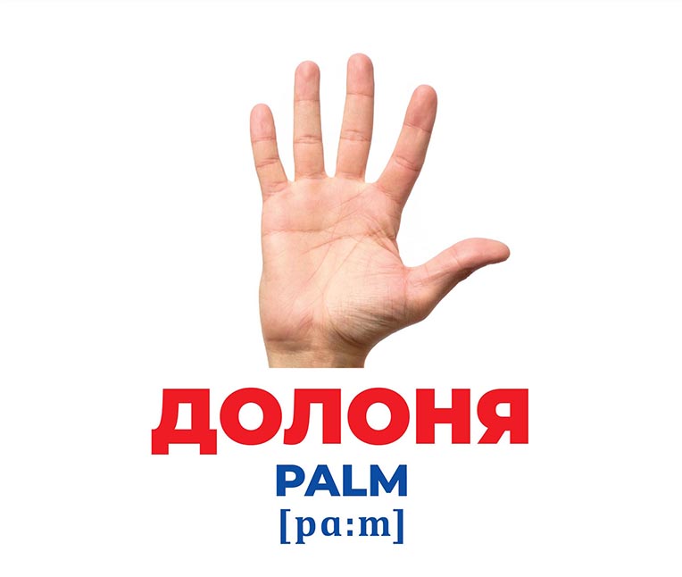Гений с пеленок «Строение тела» - фото Ранок Креатив