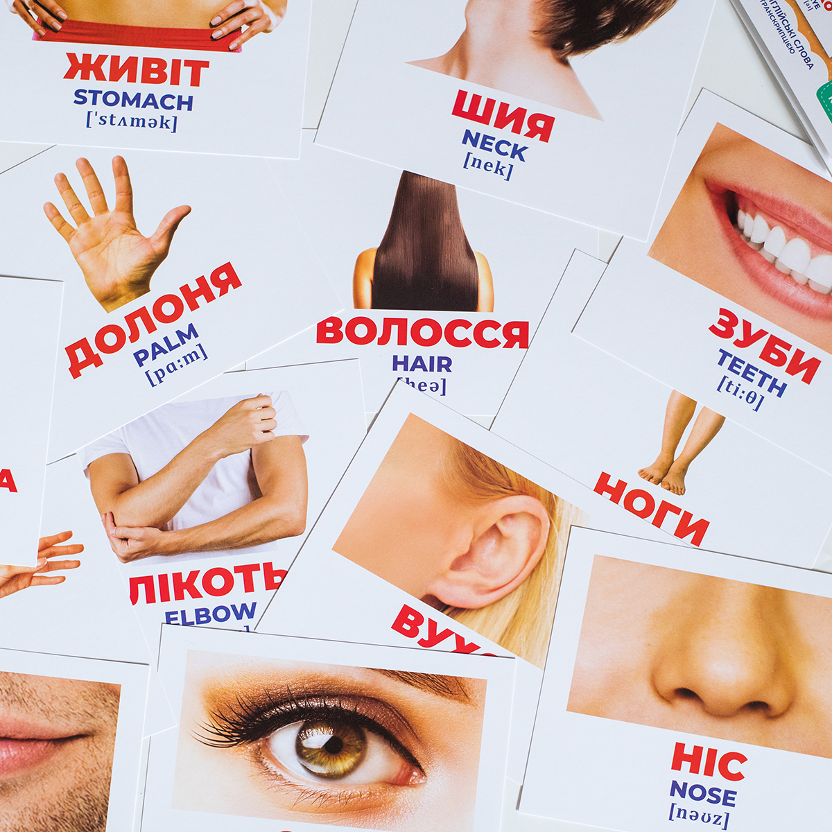 Гений с пеленок «Строение тела» - фото Ранок Креатив