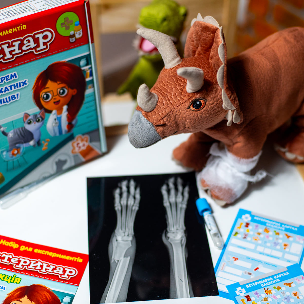 Набір для експериментів «Ветеринар» - фото Ранок Креатив