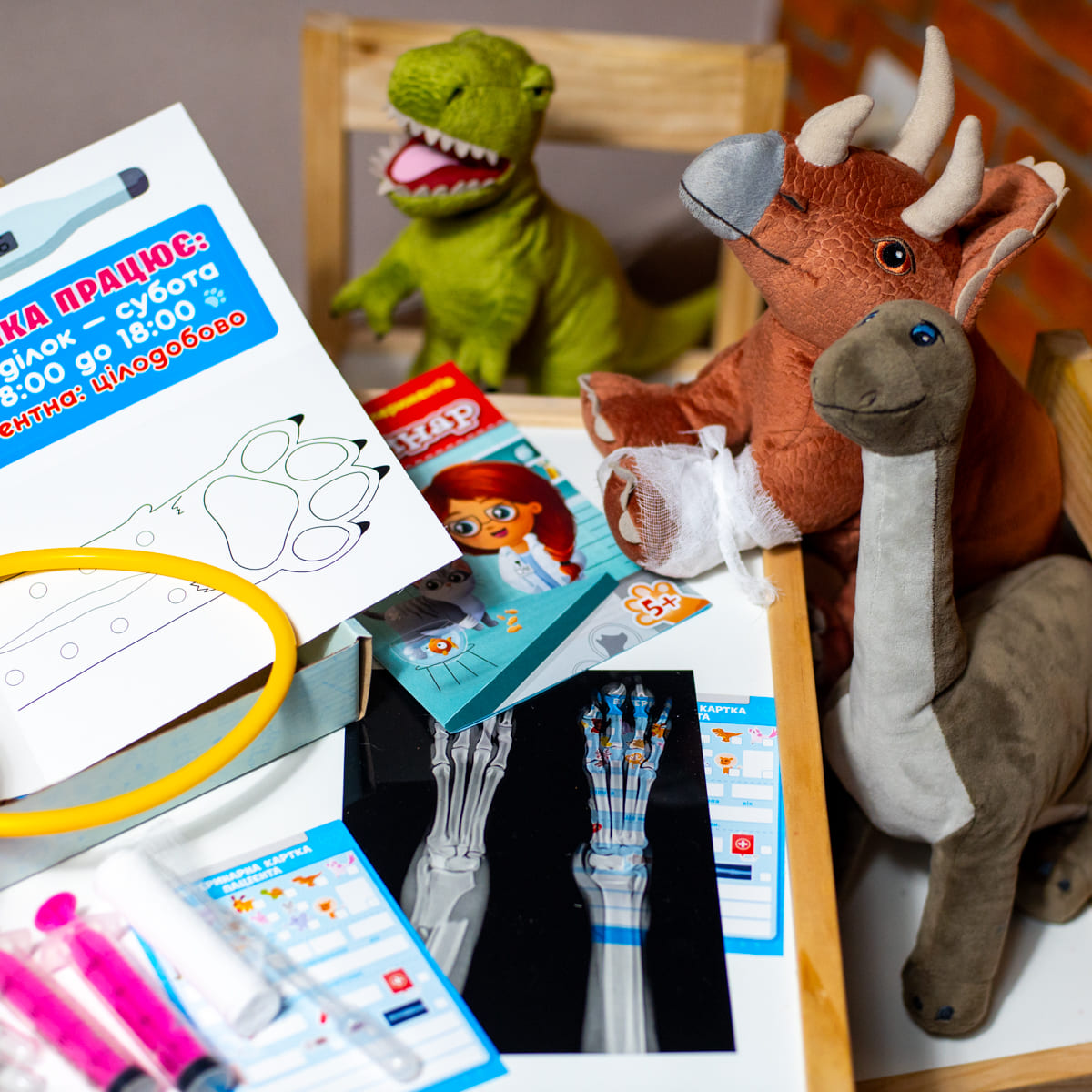 Набір для експериментів «Ветеринар» - фото Ранок Креатив