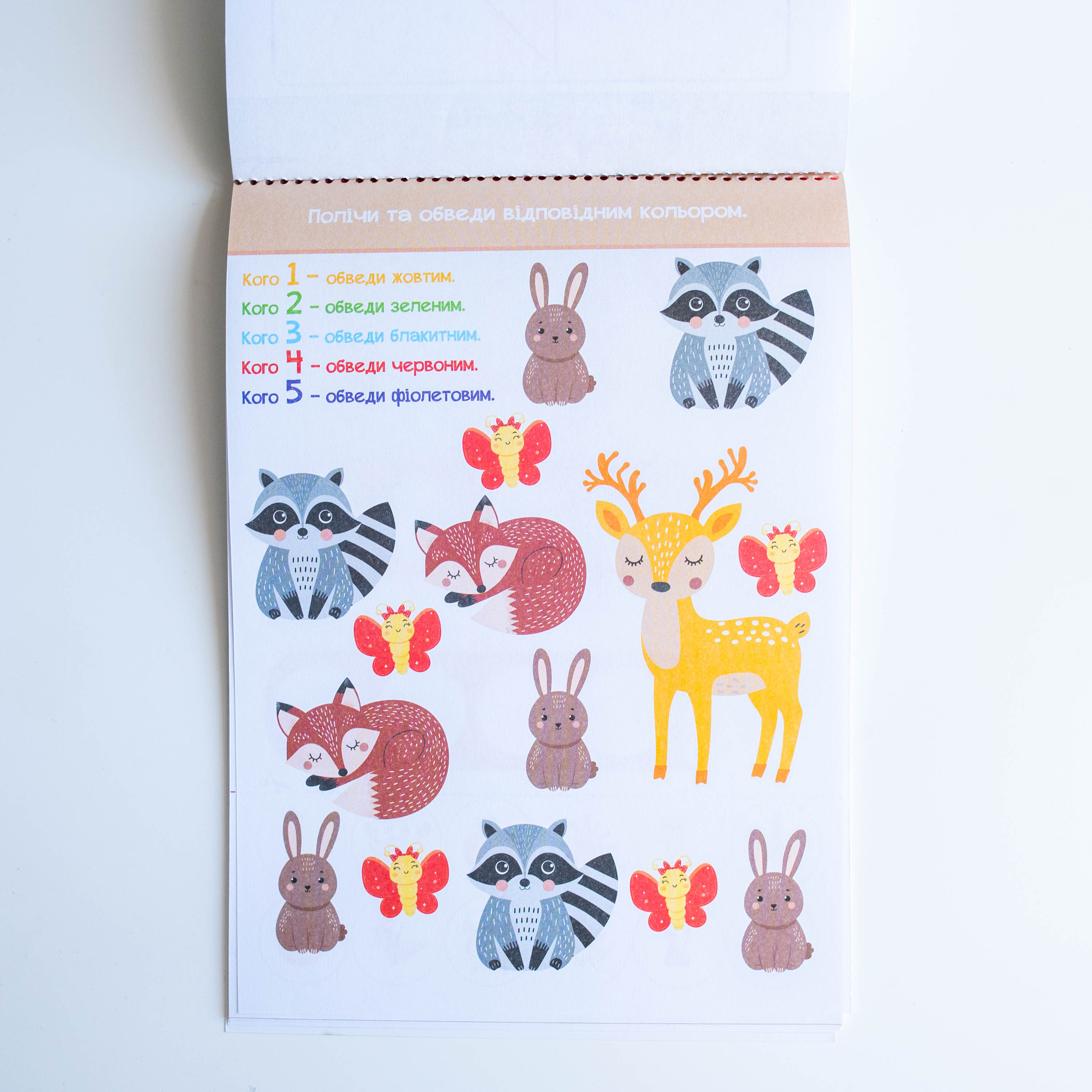 Умный блокнот. Бумажные приключения 4+ - фото Ранок Креатив