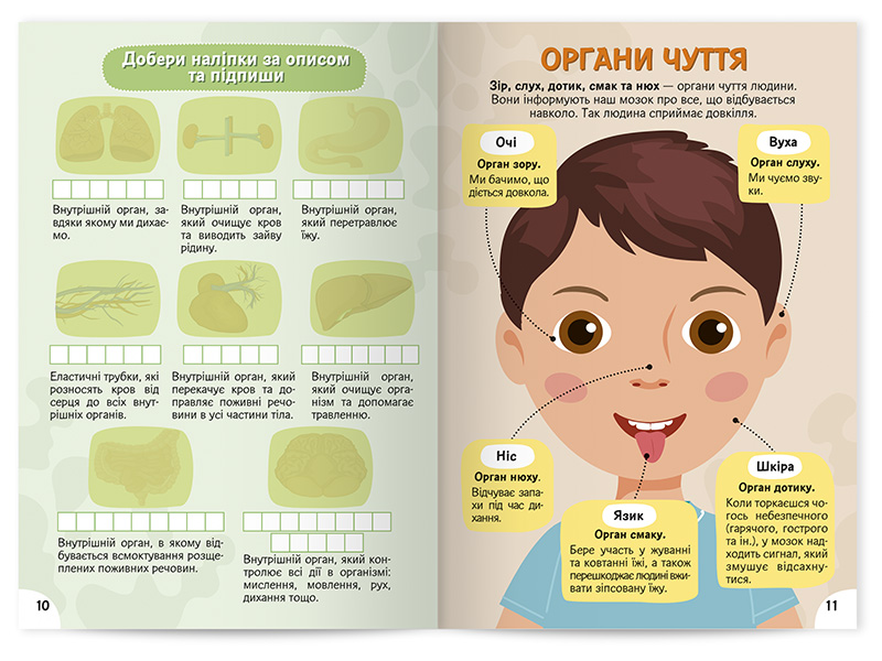 Изучаем строение тела. Рабочая тетрадь-пособие с наклейками - фото Ранок Креатив