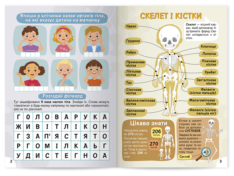 Изучаем строение тела. Рабочая тетрадь-пособие с наклейками - фото Ранок Креатив