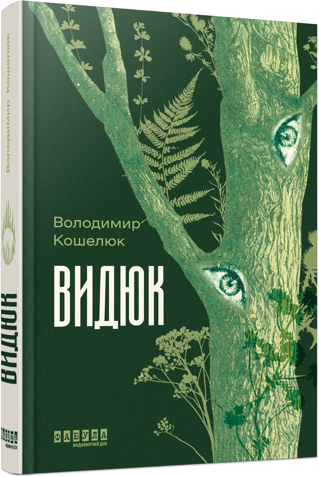 Видюк